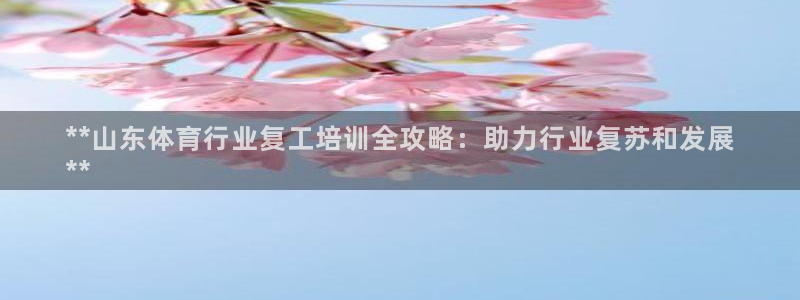 欧陆娱乐登陆平台官网：**山东体育行业复工培训全攻略