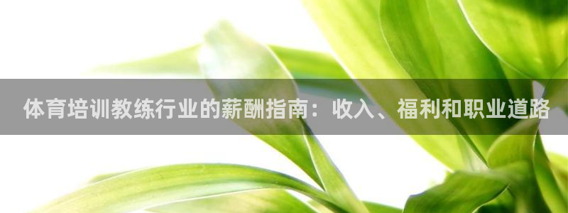 欧陆娱乐官网入口： 体育培训教练行业的薪酬指南：收入